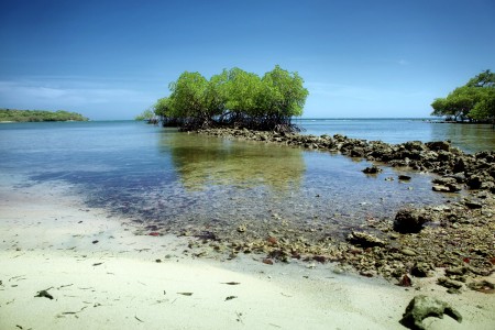 indahnya alamku