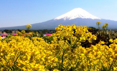 Colouring Mt.Fuji