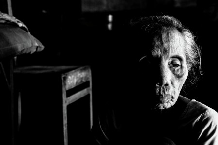 Portrait of a life