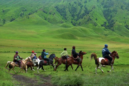 Bromo Cavalry