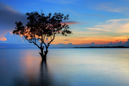 alone over the sunset