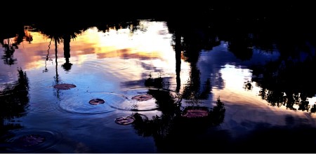 Reflection