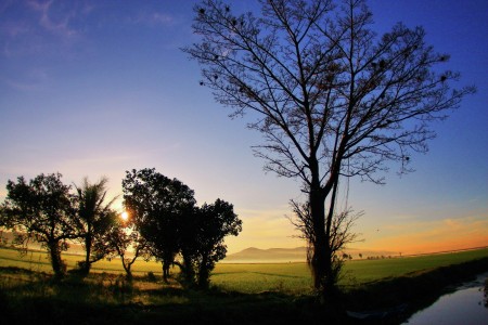 fajar di rawa pening