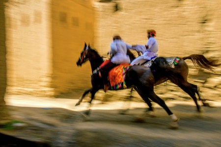 Speeding horses