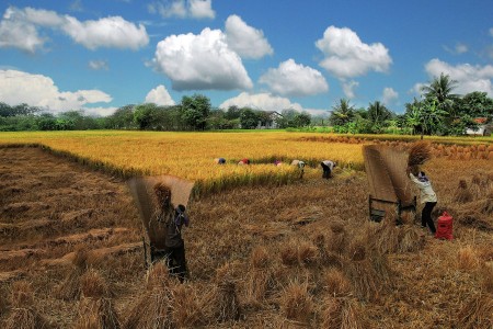 Bá»¨C TRANH Äá»’NG QUÃŠ