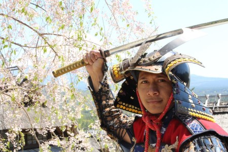 The Ronin