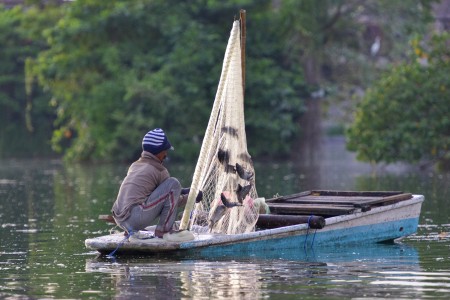 Fisherman