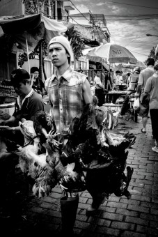 Nasib Ayam di tangan Penjagal