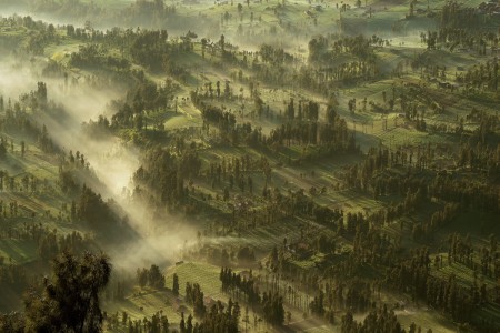 Morning Mist