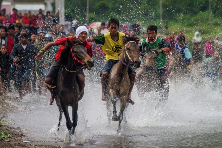 Traditional horse racing