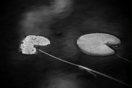 Float