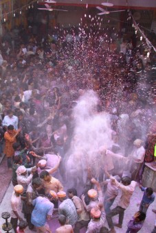Celebration