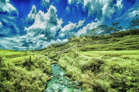 Emas Katulistiwa
