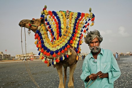 The Camelman