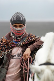 Horse Rider