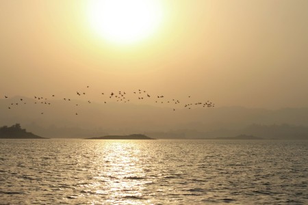 Golden waterscape