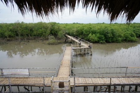 Jembatan bambu
