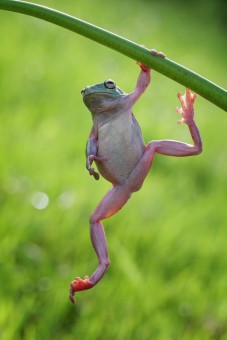 the climb
