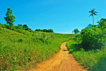 silence in the road