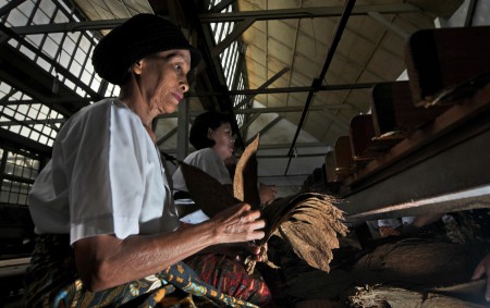 Tobacco Leaves Selector