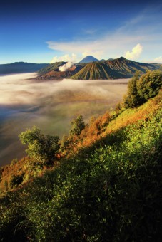 BROMO