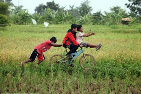 BERMAIN DI SAWAH