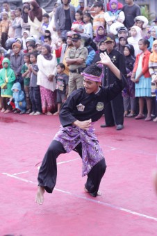 Pencak Silat