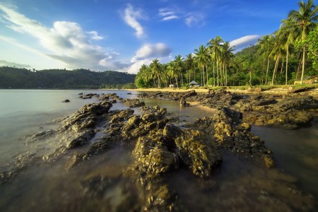 Sungai Nipah