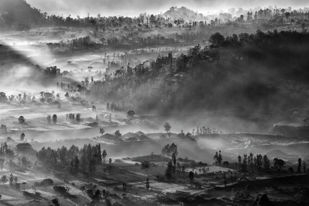 The Misty Village