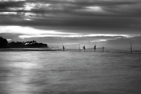 Stilt Fisherman