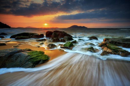 Moss at the Beach
