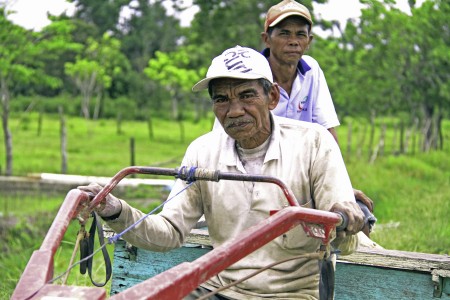 Pergi ke ladang