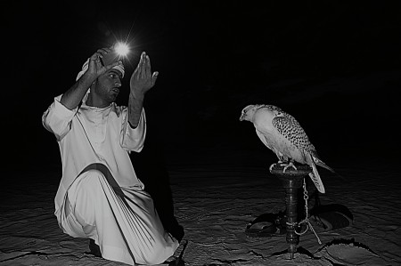 Falconer