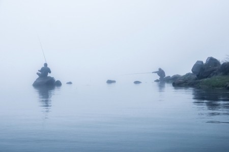 Morning Dew Fishing