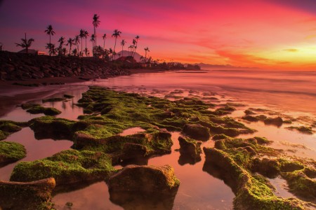 Tropical Sunrise