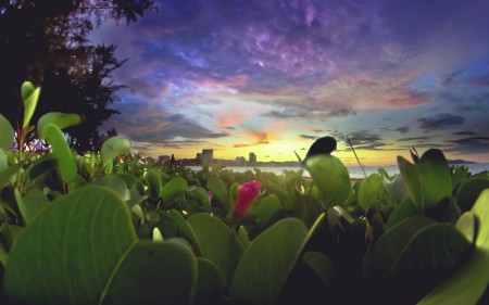 Borneo Sunset