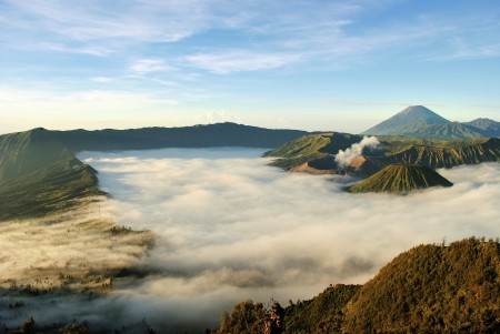 Misty morning