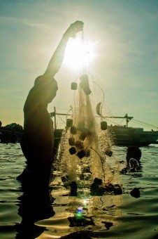 Sun Casted