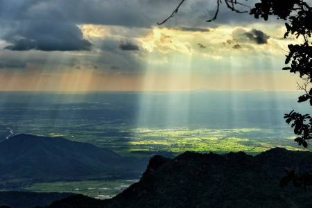Beauty of rainy season