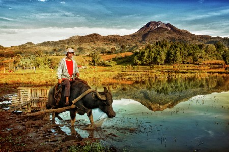 Filipino Farmer