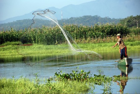 potensi waduk darma