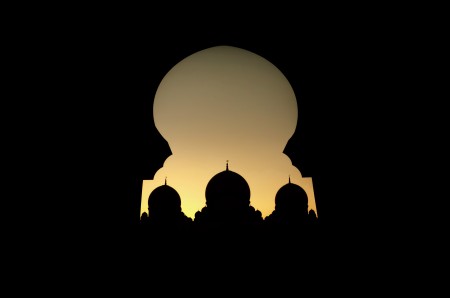 Sheikh Zayed Grand Mosque silhoutte