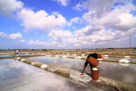 View of Salt Land