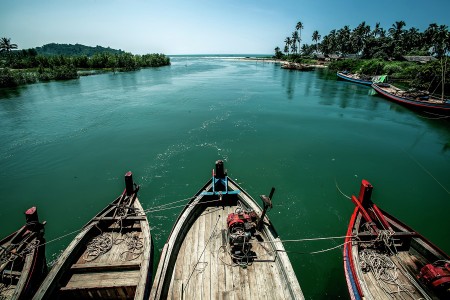 Live with the Amazing Nature