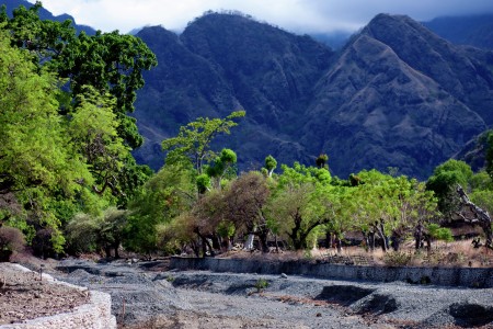border river