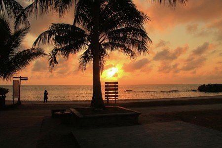 Pagi di tepi pantai