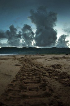 Tyre Tracks
